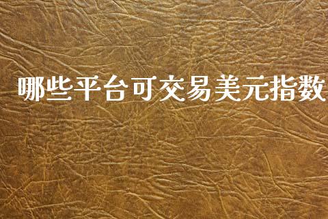哪些平台可交易美元指数_https://m.15771688.com_期货开户_第1张