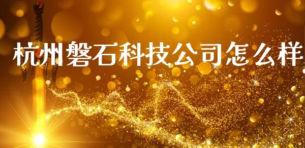 杭州磐石科技公司怎么样_https://m.15771688.com_道指实时行情_第1张