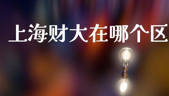 上海财大在哪个区_https://m.15771688.com_美国道指_第1张