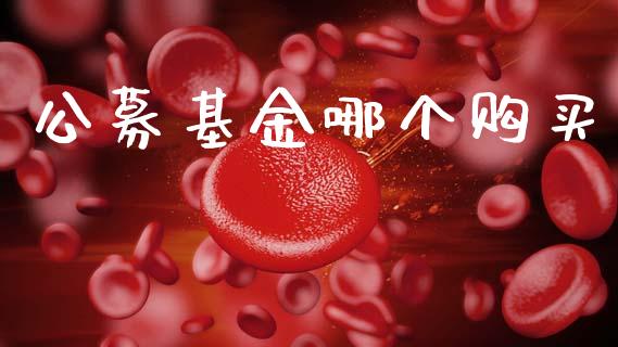 公募基金哪个购买_https://m.15771688.com_期货开户_第1张