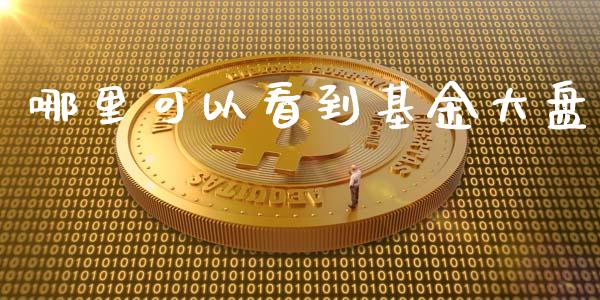 哪里可以看到基金大盘_https://m.15771688.com_期货手续费_第1张