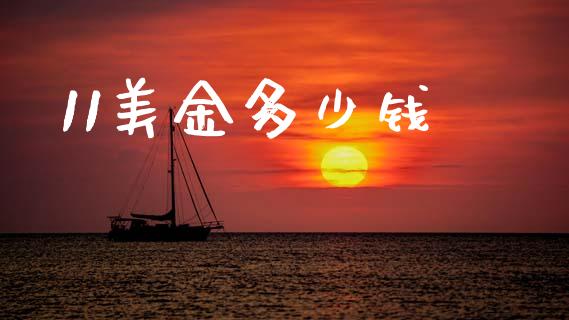 11美金多少钱_https://m.15771688.com_美国道指_第1张