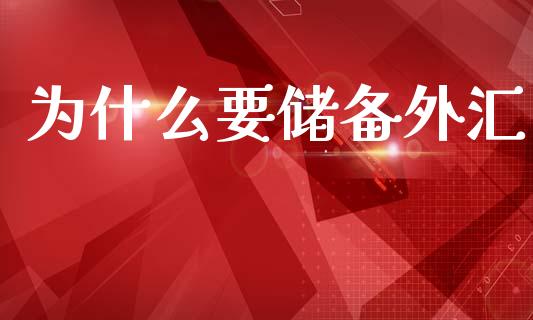 为什么要储备外汇_https://m.15771688.com_道指实时行情_第1张
