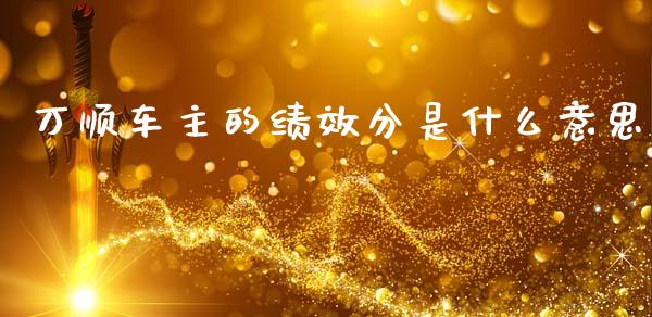 万顺车主的绩效分是什么意思_https://m.15771688.com_期货开户_第1张