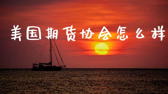 美国期货协会怎么样_https://m.15771688.com_期货手续费_第1张