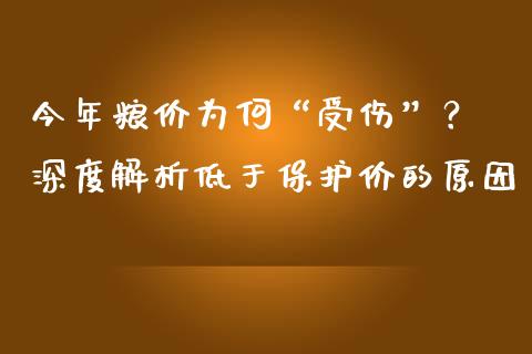 今年粮价为何“受伤”？ 深度解析低于保护价的原因_https://m.15771688.com_道指实时行情_第1张