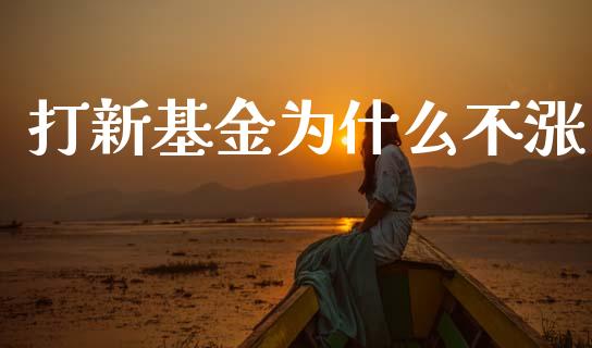 打新基金为什么不涨_https://m.15771688.com_道指实时行情_第1张