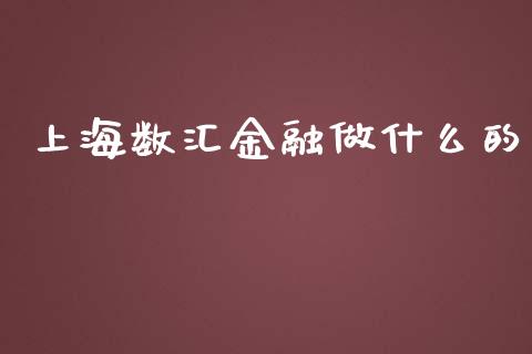 上海数汇金融做什么的_https://m.15771688.com_道指实时行情_第1张