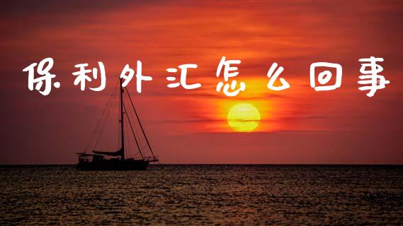 保利外汇怎么回事_https://m.15771688.com_期货开户_第1张