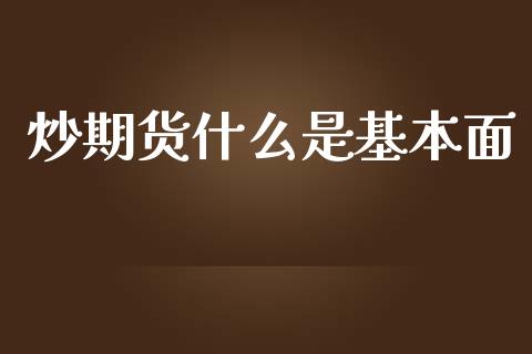 炒期货什么是基本面_https://m.15771688.com_期货手续费_第1张