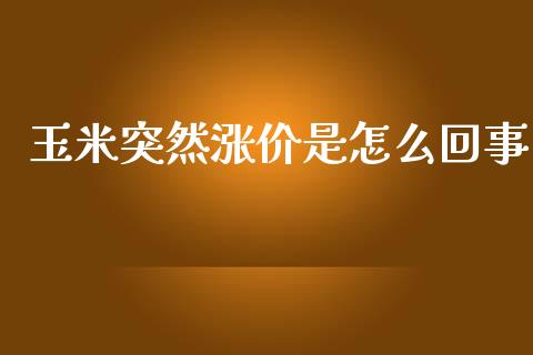 玉米突然涨价是怎么回事_https://m.15771688.com_期货开户_第1张