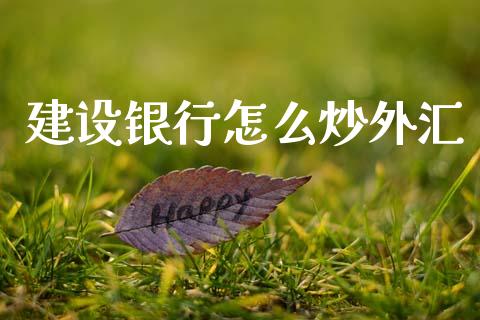 建设银行怎么炒外汇_https://m.15771688.com_道指实时行情_第1张