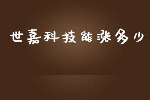 世嘉科技能涨多少_https://m.15771688.com_美国道指_第1张