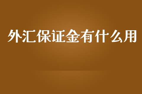 外汇保证金有什么用_https://m.15771688.com_美国道指_第1张