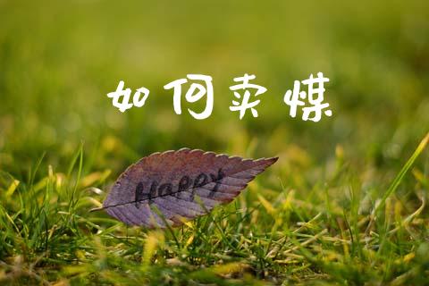 如何卖煤_美国道指_第1张_期货开户_期货手续费_道指实时行情_美国道指 如何卖煤_https://m.15771688.com_美国道指_第1张