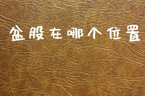盆股在哪个位置_https://m.15771688.com_道指实时行情_第1张