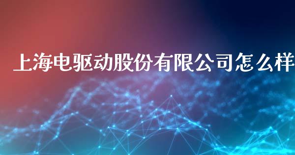 上海电驱动股份有限公司怎么样_https://m.15771688.com_道指实时行情_第1张
