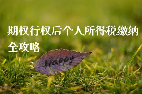 期权行权后个人所得税缴纳全攻略_https://m.15771688.com_期货手续费_第1张