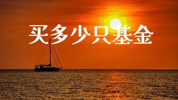 买多少只基金_https://m.15771688.com_期货手续费_第1张