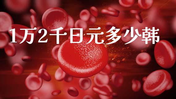 1万2千日元多少韩_https://m.15771688.com_期货手续费_第1张