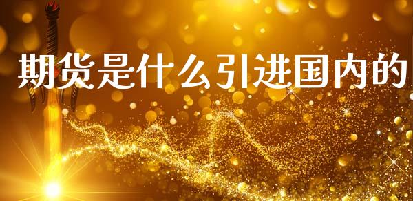 期货是什么引进国内的_https://m.15771688.com_期货开户_第1张