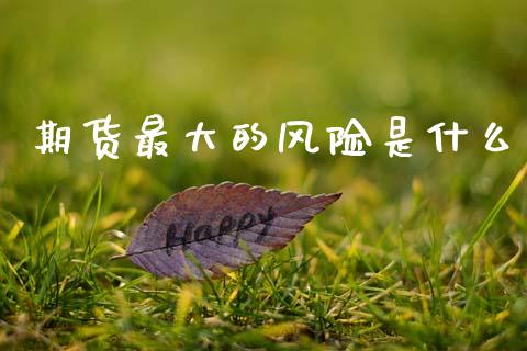 期货最大的风险是什么_https://m.15771688.com_美国道指_第1张