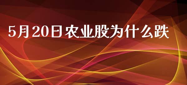 5月20日农业股为什么跌_https://m.15771688.com_美国道指_第1张