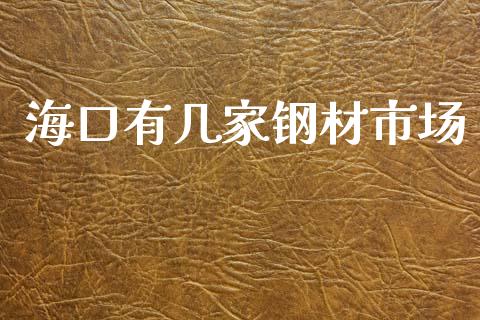 海口有几家钢材市场_https://m.15771688.com_美国道指_第1张