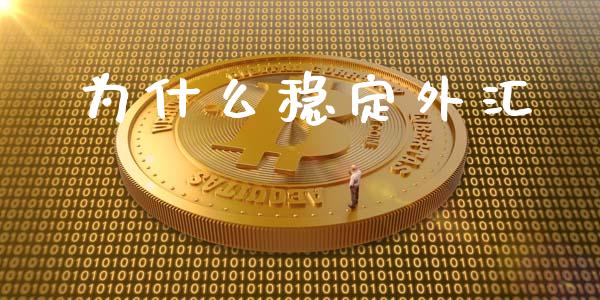 为什么稳定外汇_https://m.15771688.com_期货手续费_第1张