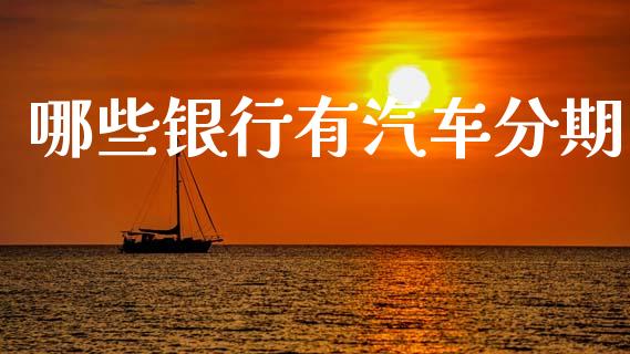哪些银行有汽车分期_https://m.15771688.com_期货开户_第1张