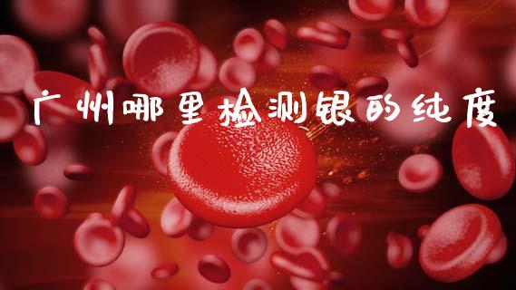 广州哪里检测银的纯度_https://m.15771688.com_期货手续费_第1张