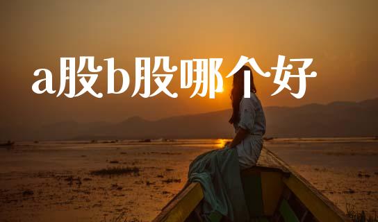 a股b股哪个好_https://m.15771688.com_期货手续费_第1张