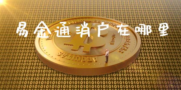 易金通消户在哪里_https://m.15771688.com_期货手续费_第1张