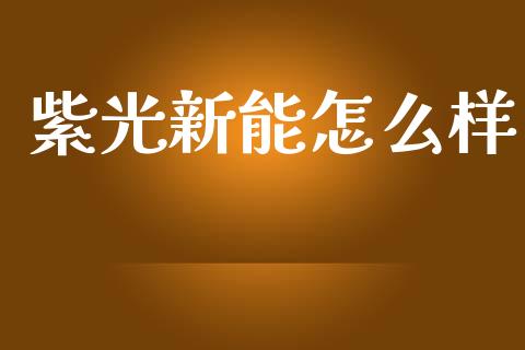 紫光新能怎么样_https://m.15771688.com_道指实时行情_第1张