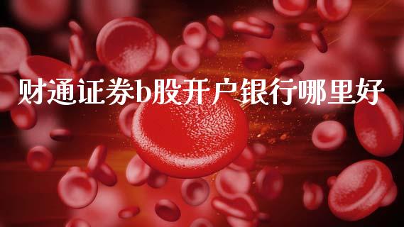 财通证券b股开户银行哪里好_https://m.15771688.com_期货开户_第1张