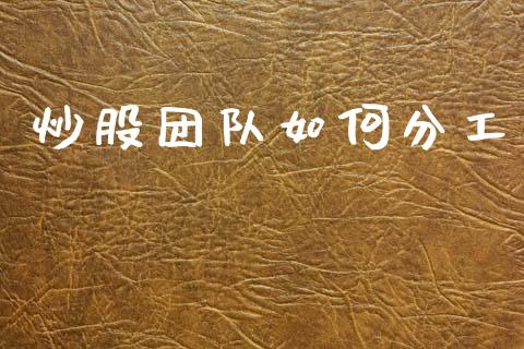 炒股团队如何分工_https://m.15771688.com_美国道指_第1张
