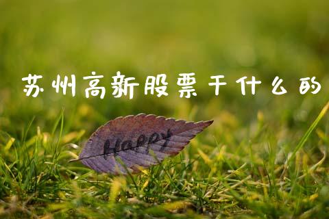 苏州高新股票干什么的_https://m.15771688.com_期货开户_第1张