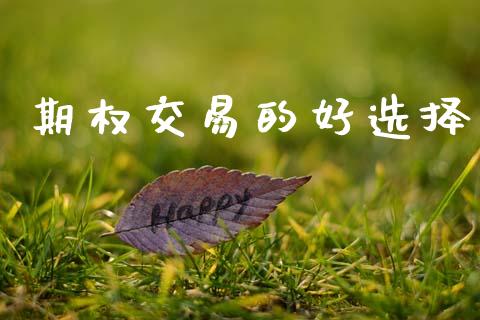 期权交易的好选择_https://m.15771688.com_期货手续费_第1张