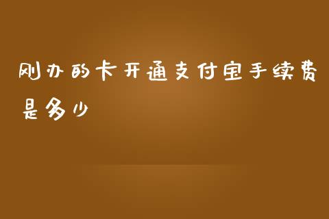 刚办的卡开通支付宝手续费是多少_https://m.15771688.com_期货手续费_第1张