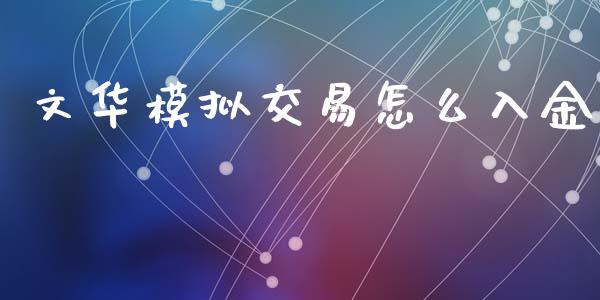 文华模拟交易怎么入金_https://m.15771688.com_道指实时行情_第1张