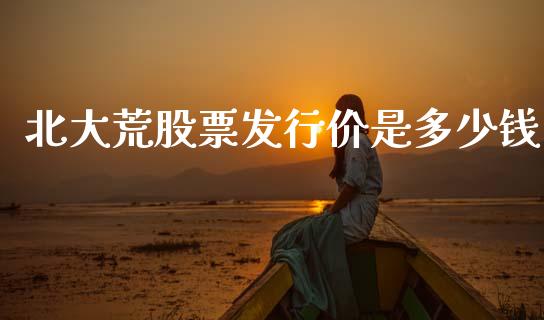 北大荒股票发行价是多少钱_https://m.15771688.com_美国道指_第1张
