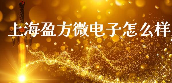 上海盈方微电子怎么样_https://m.15771688.com_期货手续费_第1张