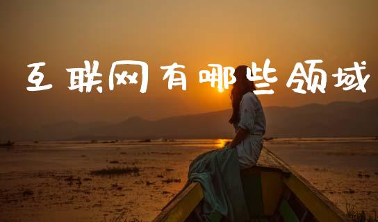 互联网有哪些领域_https://m.15771688.com_期货开户_第1张