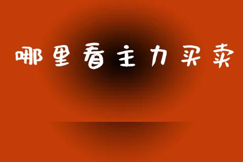 哪里看主力买卖_https://m.15771688.com_期货开户_第1张