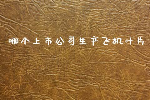 哪个上市公司生产飞机叶片_https://m.15771688.com_期货手续费_第1张