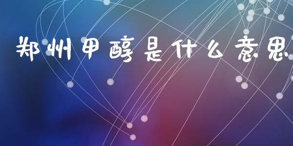 郑州甲醇是什么意思_https://m.15771688.com_期货手续费_第1张