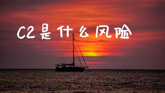C2是什么风险_https://m.15771688.com_道指实时行情_第1张
