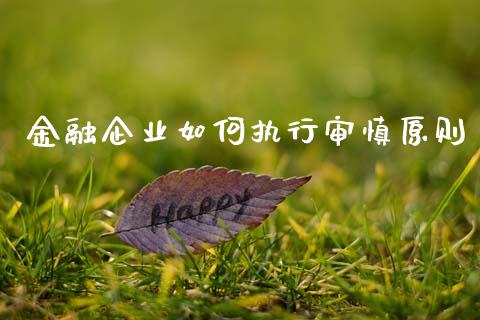 金融企业如何执行审慎原则_https://m.15771688.com_期货开户_第1张