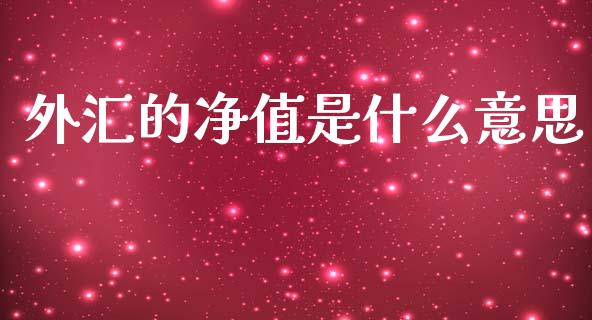 外汇的净值是什么意思_https://m.15771688.com_美国道指_第1张