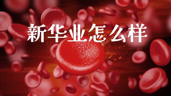 新华业怎么样_https://m.15771688.com_期货开户_第1张